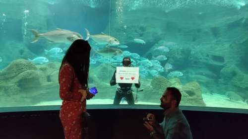 Κρήτη: Είπε το &quot;ναι&quot; στην απίστευτα ρομαντική πρόταση γάμου με φόντο τον βυθό του ενυδρείου