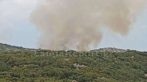 Φθιώτιδα: Πυρκαγιά σε δύσβατο μέρος στο όρος Όθρυς - Σηκώθηκαν εναέρια μέσα