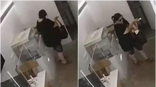 Βίντεο ντοκουμέντο: Η στιγμή που η 48χρονη αρχηγός σπείρας κλέβει κινητά από κατάστημα - Συνεργοί τα παιδιά της