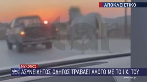 Μύκονος: Οδηγός αγροτικού έσερνε άλογο δεμένο με σχοινί - Νέο περιστατικό κακοποίησης ζώου