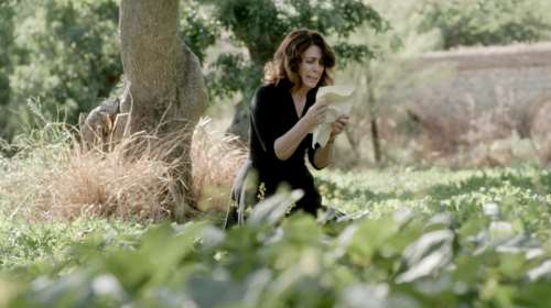 Άγριες Μέλισσες: Το συγκινητικό &quot;αντίο&quot; της Μυρσίνης - &quot;Εδώ άρχισαν όλα, κι εδώ τελειώνουν&quot; [Βίντεο]