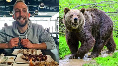 Ιταλία: Αρκούδα σκότωσε 26χρονο που έκανε τζόκινγκ - Οι αναρτήσεις του λίγο πριν την επίθεση [Βίντεο-Εικόνες]