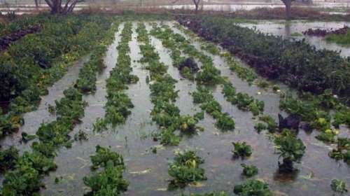 Κοζάνη: Σε κατάσταση έκτακτης ανάγκης ο Δήμος Εορδαίας