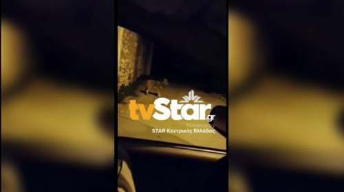 Απίστευτο: Λύκος κάνει... βόλτα ανάμεσα στα σπίτια στο Δίστομο [βίντεο]