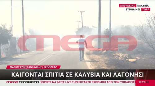 Φωτιά στο Λαγονήσι: Συγκλονιστική μαρτυρία κατοίκου - &quot;Οι γονείς μου είναι εγκλωβισμένοι, τους περικύκλωσε η φωτιά&quot;