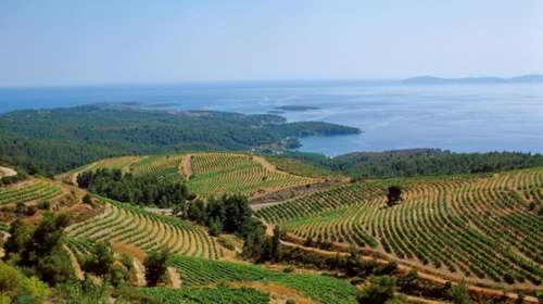 Η αναβίωση του Κτήματος Πόρτο Καρράς και το μακρόπνοο επενδυτικό πλάνο του Ιβάν Σαββίδη