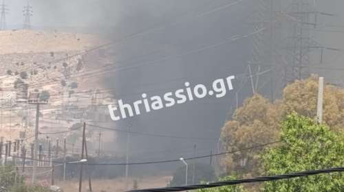 Φωτιά στον Ασπρόπυργο: Δύο μέτωπα πυρκαγιάς, πληροφορίες ότι καίγονται σπίτια (βίντεο)