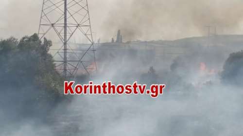 Συναγερμός στην Πυροσβεστική: Σε εξέλιξη μεγάλη φωτιά στο Κοκκώνι Κορινθίας – Κοντά σε σπίτια