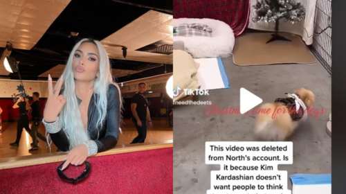 Βίντεο στο TikTok &quot;καίει&quot; την Κιμ Καρντάσιαν: Την κατηγορούν ότι έχει τα σκυλάκια της κλεισμένα στο γκαράζ