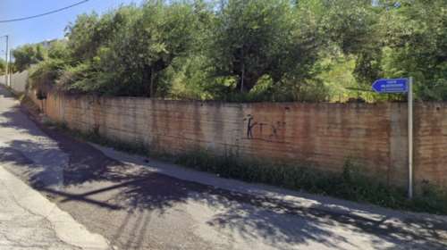 Θρίλερ στην Καλαμάτα: Βρέθηκε πτώμα άντρα μέσα σε ελαιοπερίβολο