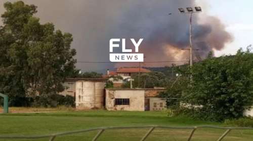 Μαίνεται η φωτιά στη Λακωνία: Μεγάλο μέτωπο από το Λυκοβουνό προς Δαφνί - Μάχη να μην φθάσουν οι φλόγες στα σπίτια