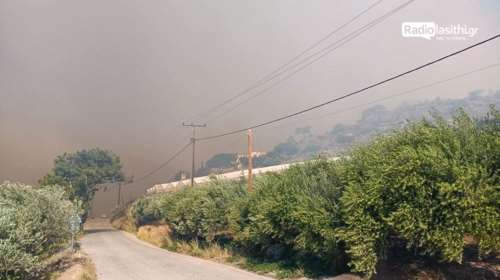 Φωτιά στην Κρήτη: Συνελήφθη 35χρονος για τη μεγάλη πυρκαγιά στο Λασίθι - Έκαιγε ξερά κλαδιά