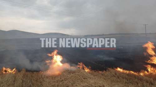Μαγνησία: Φωτιά ξέσπασε σε τρία μέτωπα - Τέθηκαν υπό έλεγχο