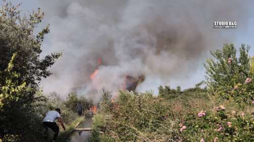 Πυρκαγιά σε ελαιώνα στο Δρέπανο Αργολίδας: Κινδύνεψε κατοικία [εικόνες - βίντεο]