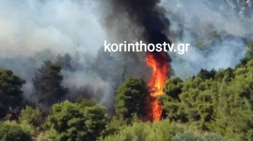 Φωτιά στο Γαλατάκι Κορινθίας