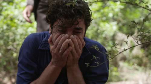 Άγριες Μέλισσες spoiler: Αυτά είναι τα τελευταία συγκλονιστικά επεισόδια - Ποιοι θα μείνουν ζωντανοί;