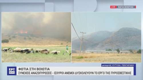 Φωτιά στη Βοιωτία: Μεγάλη αναζωπύρωση στην περιοχή Βάγια - Απεγκλωβίστηκαν πατέρας και γιος από κτηνοτροφική μονάδα