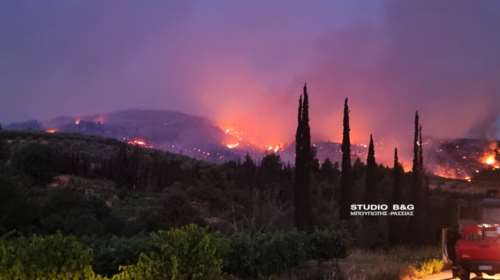 Φωτιά στην Κορινθία: Ολονύχτια μάχη με τις αναζωπυρώσεις - Στην περιοχή ο Κικίλιας, ήχησε το 112 - Στάχτη έγιναν καλλιέργειες