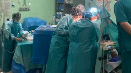 Δώρο ζωής από 64χρονο δότη οργάνων: Με επιτυχία έγινε η λήψη ήπατος, νεφρού και κερατοειδών στο "Παπανικολάου"