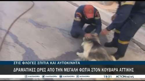 Η εικόνα της ημέρας: Πυροσβέστες παρηγορούν τον σκύλο που μόλις έσωσαν από τις φλόγες [Βίντεο]