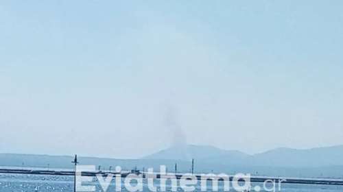 Εύβοια: Συναγερμός για φωτιά στη Ριτσώνα