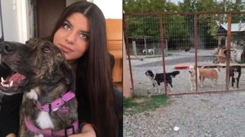 Σταματίνα Σταματάκου: Νέες καταγγελίες για το κυνοκομείο Σπάρτης - &quot;Δεν θα σας αφήσουμε να το ξανακάνετε σαν τα μούτρα σας&quot; [Βίντεο]