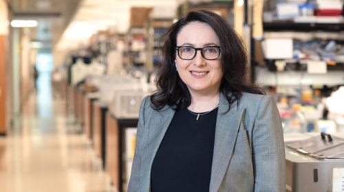 Κατερίνα Ακάσογλου: Η Ελληνίδα νευροανοσολόγος της διασποράς που εξελέγη μέλος της Εθνικής Ακαδημίας Εφευρετών των ΗΠΑ