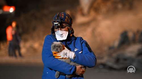 Σεισμός στην Τουρκία: Διασώστες έβγαλαν από τα χαλάσματα έναν σκύλο, ένα γατάκι και...καναρίνι [εικόνες, βίντεο]