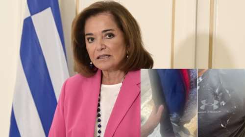 Οργή Μπακογιάννη για την επίθεση στον Πλεύρη και την οικογένειά του: "Πόσο ξεφτιλισμένοι, γελοίοι και θρασύδειλοι"