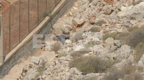 Σύμη: Απροσδιόριστη η αιτία θανάτου του Μάικλ Μόσλεϊ, λέει η ιατροδικαστής - Μάλλον αισθάνθηκε αδιαθεσία και ξάπλωσε