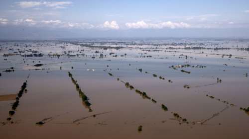 Χιλιάδες νεκρά ζώα παραμένουν στον θεσσαλικό κάμπο άθαφτα - Περιμένουν την αποκομιδή
