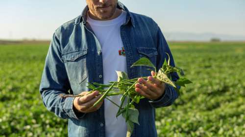 ΜΠΑΡΜΠΑ ΣΤΑΘΗΣ: 50 χρόνια στο πλευρό της ελληνικής οικογένειας με επίκεντρο τη βιώσιμη ανάπτυξη