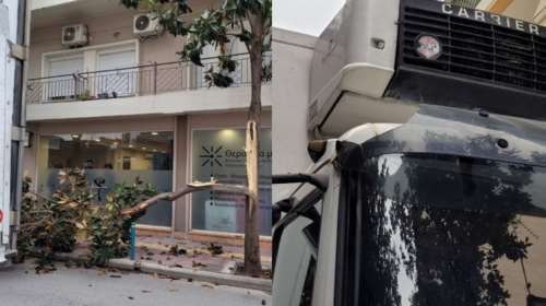 Λάρισα: Πανικό σκόρπισε φορτηγό στο κέντρο της πόλης, ξήλωσε δέντρο στο πέρασμά του [Εικόνες-Βίντεο]