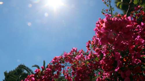 Καιρός - Meteo: Ηλιοφάνεια σε όλη τη χώρα αύριο Κυριακή με λίγες τοπικές νεφώσεις