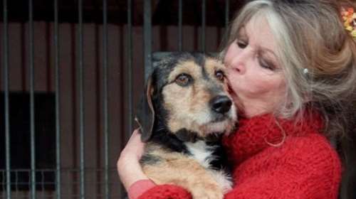 Μπριζίτ Μπαρντό: Στο Σεν Τροπέ δίπλα στη θάλασσα η κηδεία της - Δεν ανακοινώθηκε ημερομηνία