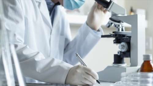 Σημαντικό επίτευγμα: Επιστήμονες επανέφεραν σε λειτουργία ζωτικά όργανα χοίρων, μετά τον θάνατό τους