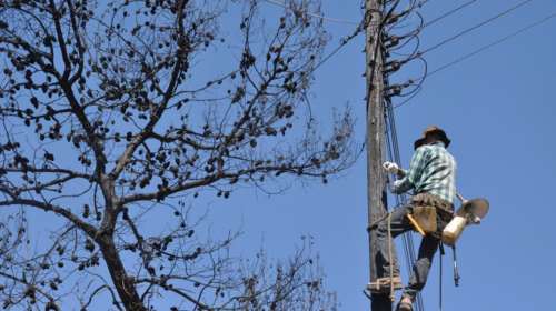Προκήρυξη για 393 θέσεις από τον ΔΕΔΔΗΕ