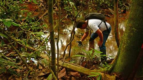 &quot;Καίγεται&quot; η Βραζιλία: 6.803 δασικές πυρκαγιές στην Αμαζονία τον Ιούλιο