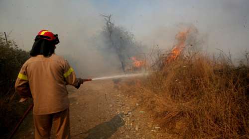 Θεσσαλονίκη: Φωτιά σε δασική έκταση στην Μικροκώμη- Ενισχύονται οι δυνάμεις της Πυροσβεστικής