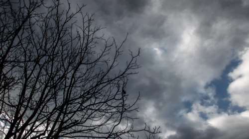 Καιρός: Νεφώσεις σήμερα, με μικρή άνοδο της θερμοκρασίας - Πού θα βρέξει