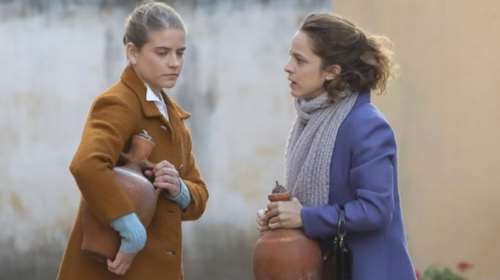 Άγριες Μέλισσες: Θρίλερ με την επιστροφή της σειράς - Στον αέρα μετά τη διακοπή των γυρισμάτων