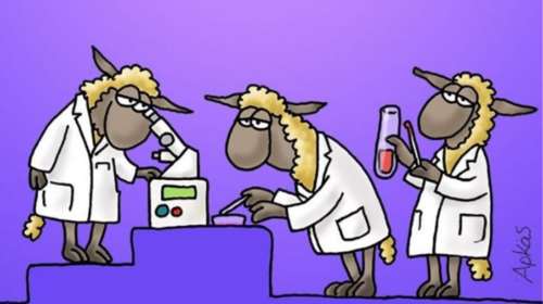 Ποιες θεωρίες συνωμοσίας; Ο Αρκάς αποκαλύπτει ποιος φταίει για την πανδημία του κορονοϊού