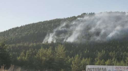 Φωτιά στην Τρίπολη: Καλύτερη η εικόνα της πυρκαγιάς - Τρεις οι εστίες με διαφορά 10 λεπτών, προσήχθη ύποπτος