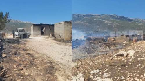 Φωτιά στη Βοιωτία: Σε αυτό το μαντρί πέθανε ο βοσκός στον Πρόδρομο - Προσπαθούσε να σώσει τα ζώα του