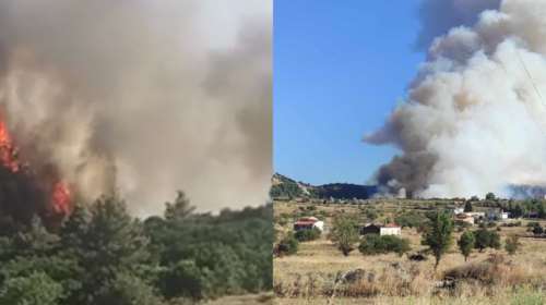 Συναγερμός για τη φωτιά στα Δερβενοχώρια: Μάχη με επτά αεροσκάφη και τέσσερα ελικόπτερα για να μην περάσει στην Πάρνηθα