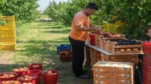 Συμφωνία ΕΕ - Mercosur: Τι σημαίνει για τα ελληνικά αγροτικά προϊόντα - Η νέα αγορά 270 εκατ. καταναλωτών