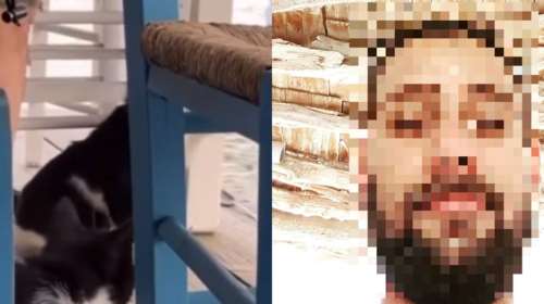 Αιδηψός: Αυτός είναι ο άνδρας που βιντεοσκόπησε την κακοποίηση της γάτας - Απάντησε με βρισιές και μετά... ζήτησε συγγνώμη