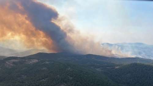 Φωτιά στον Εβρο: Μήνυμα του 112 για εκκένωση του χωριού της Δαδιάς- Η πυρκαγιά έκανε στάχτη χιλιάδες στρέμματα