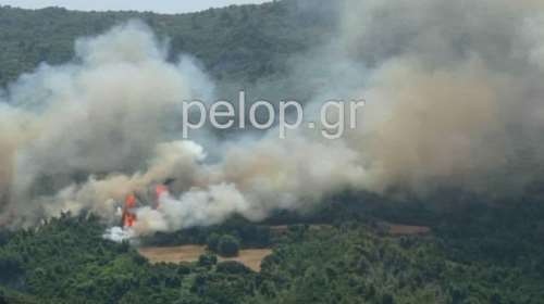 Αχαΐα: Μάχη με τις φλόγες στη Δροσιά - Εκκενώνεται το χωριό - Κινείται προς Ηλεία το πύρινο μέτωπο