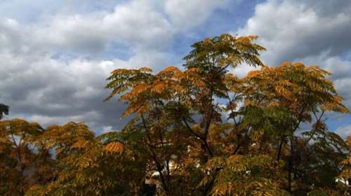 Τι καιρό θα κάνει την εβδομάδα που έρχεται: Ξεκινά με αίθριο καιρό αλλά από την Πέμπτη έρχεται mega-κακοκαιρία
